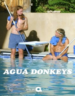 Agua Donkeys online