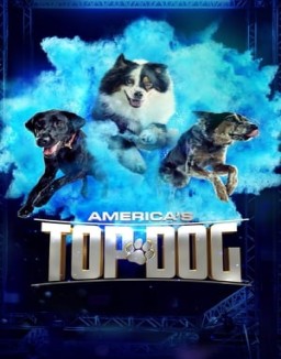 America's Top Dog Season  2 online