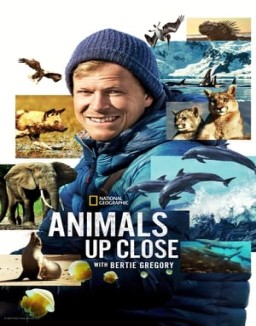 Animals Up Close with Bertie Gregory online For free