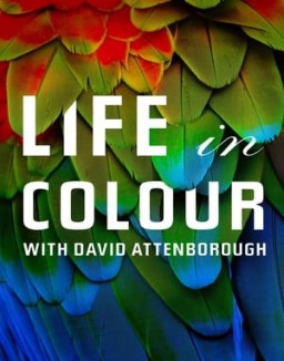 Attenborough's Life in Colour online For free