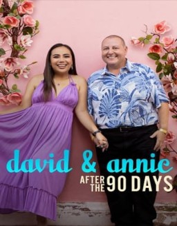 David & Annie: After the 90 Days online For free
