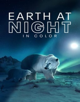 Earth at Night in Color online
