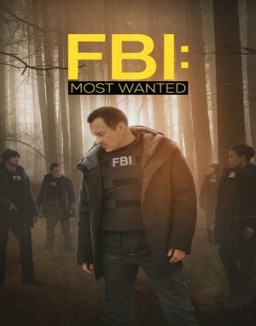 FBI: Most Wanted Season  2 online