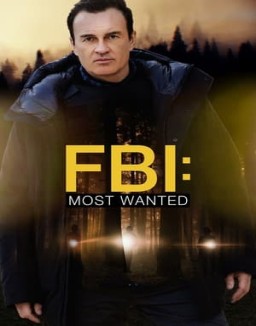 FBI: Most Wanted Season  3 online
