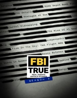FBI True Season  3 online