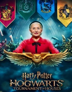 Harry Potter: Hogwarts Tournament of Houses online For free