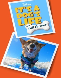 It's a Dog's Life with Bill Farmer online Free