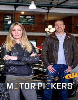 Motor Pickers online