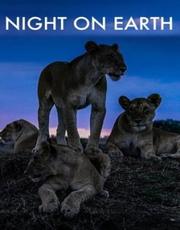 Night on Earth