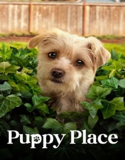 Puppy Place online For free