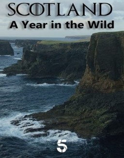 Scotland: A Year In The Wild online