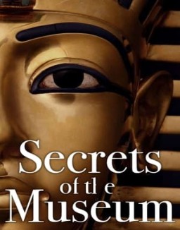 Secrets of the Museum online