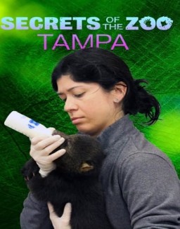 Secrets of the Zoo: Tampa online For free