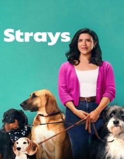 Strays online For free