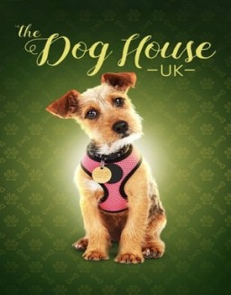 The Dog House online For free