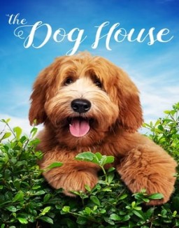 The Dog House Season  3 online