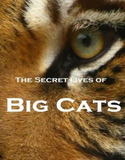 The Secret Lives Of Big Cats online gratis