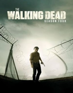 The Walking Dead Season  4 online