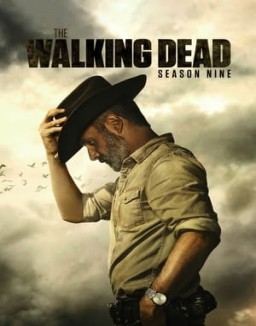 The Walking Dead Season  9 online