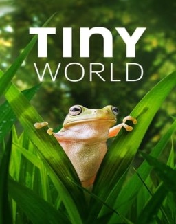 Tiny World online