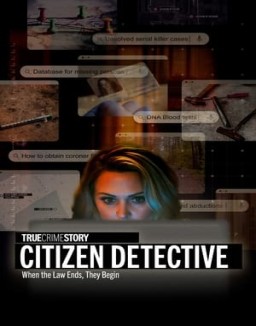 True Crime Story: Citizen Detective online For free