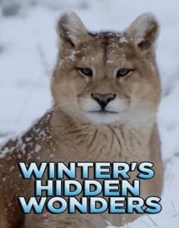 Winter's Hidden Wonders online For free